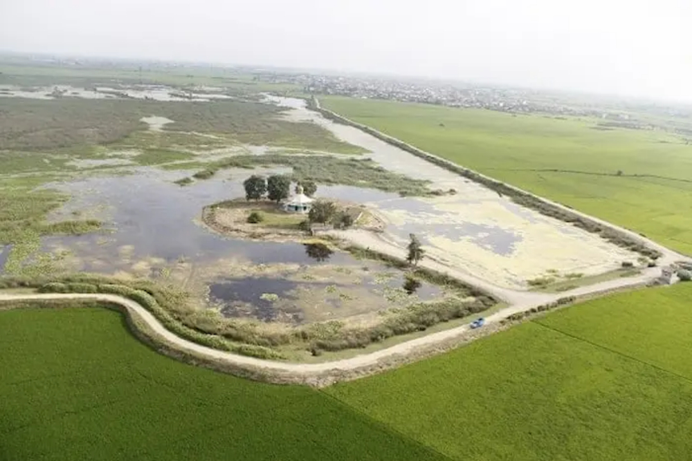 بهمنیر