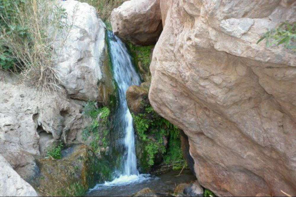 بردسکن