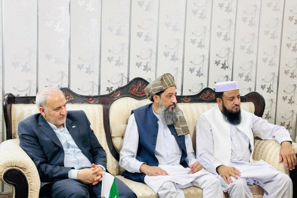 رضا+امیری+مقدم