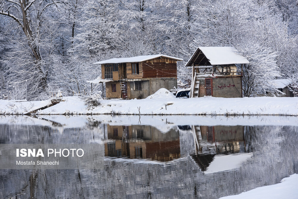萨里省埃尔丹湖的雪景