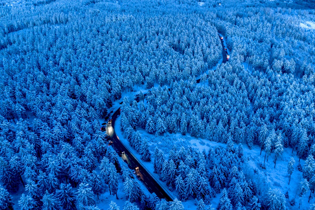 德国遭遇大雪