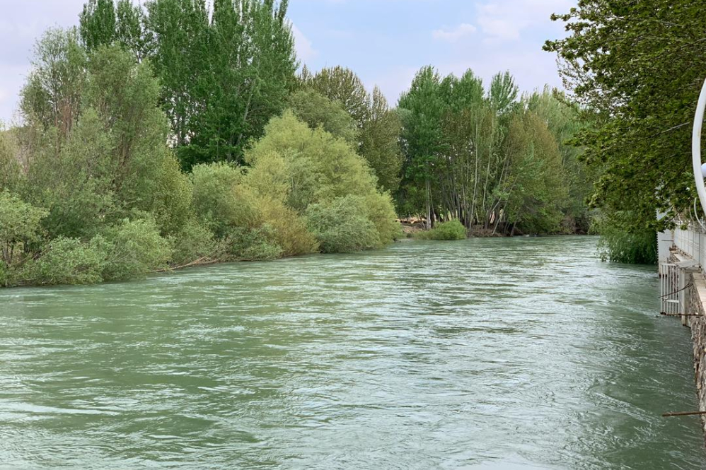 ایران+نما