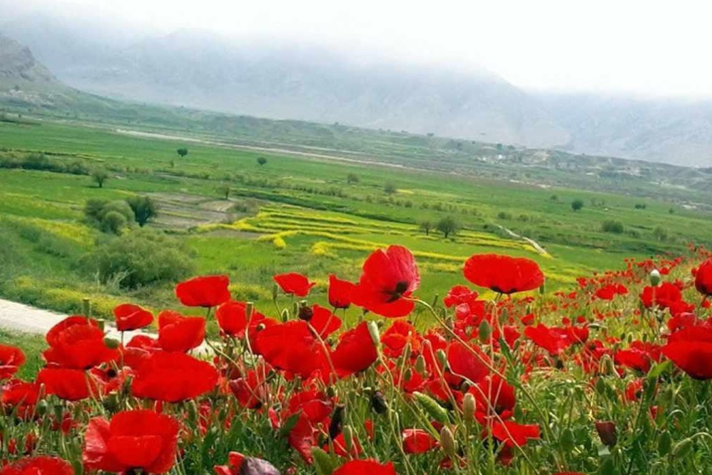 ایران+نما