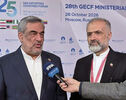 Iran is pursuing energy diplomacy dynamically, resolutely: Minister