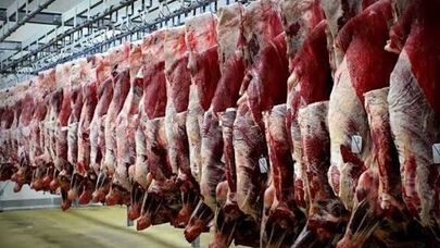 قیمت گوشت گوسفندی و گوساله‌ای امروز پنج‌شنبه ۹ مهر ۱۴۰۵ + جدول قیمت 