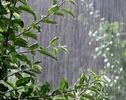 پیش‌بینی هواشناسی کرمان؛ کاهش دما و احتمال رگبار و رعدوبرق تا پایان هفته