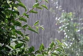 پیش‌بینی هواشناسی کرمان؛ کاهش دما و احتمال رگبار و رعدوبرق تا پایان هفته