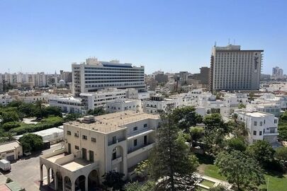 موضع مشترک الجزایر، مصر و تونس درباره لیبی؛ مخالفت با مداخله خارجی