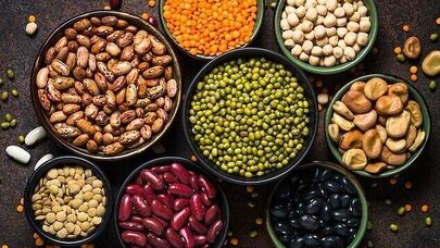 پروتئین‌های گیاهی پرخاصیت؛راهی ساده برای تقویت سلامت قلب و گوارش