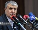 Iran's nuclear tech. potentials 'par with advanced nations'