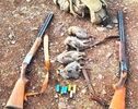 شکارچیان متخلف در کنگاور شناسایی شدند؛ کشف ۲ قبضه سلاح