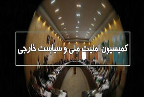 تفاصيل اجتماع لجنة الأمن القومي: التغييرات الجيوسياسية تتعارض مع الأمن الإقليمي
