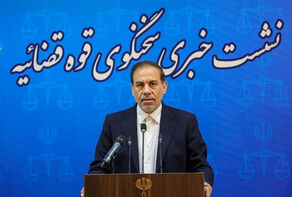 سخنگوی قوه قضائیه: تسویه بدهی بابک زنجانی به بانک مرکزی در اولویت قرار دارد