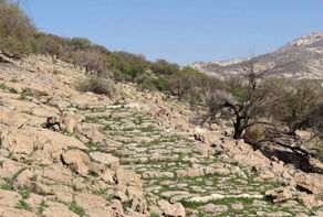 Introduction to Tourist Attractions of Iranian Cities