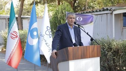 Nuclear industry built on domestic know-how, will remain 'sustainable': AEOI chief