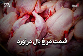 اقتصادنگار | قیمت مرغ بال درآورد