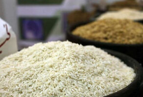ثبات بازار برنج در گرو واردات