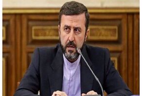 SCO, BRICS, NAM opposed to return of international sanctions against Iran: Diplomat