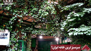 نورنما | سرسبزترین خانه ایران!