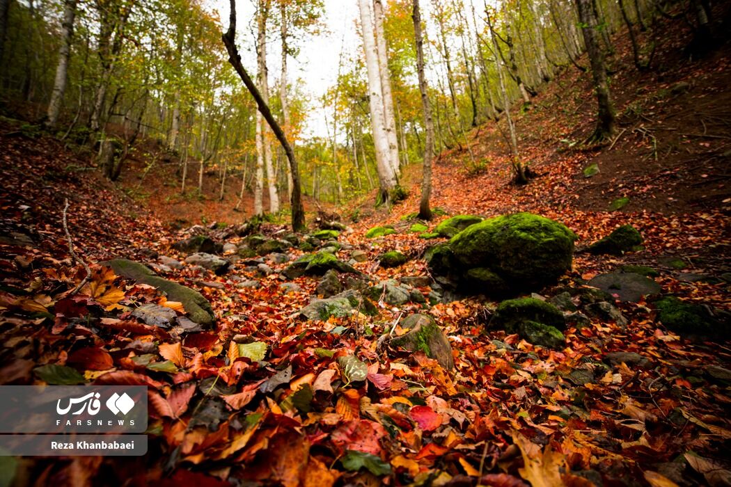 M2UyYjUJkgOx