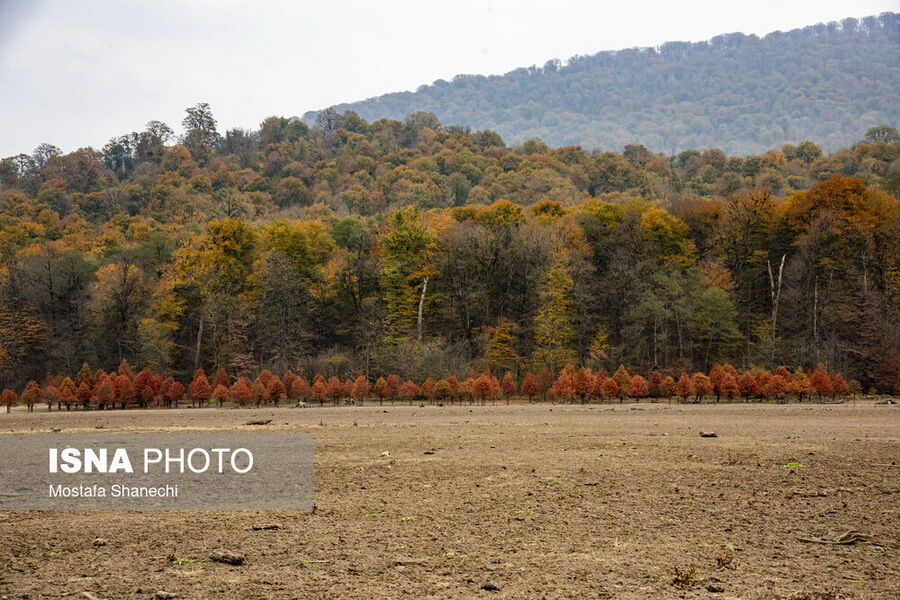 M2Y5ZWUMPT7y