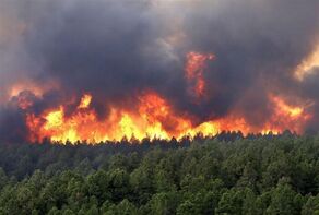 Official: Elit forest fire under control