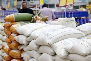 قیمت یک کیلو برنج معادل یارانه هر ایرانی شد