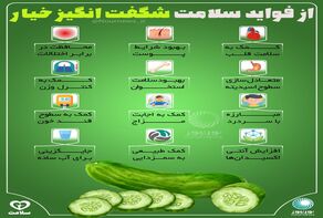 اینفوگرافی: خواص شگفت‌انگیز خیارسبز
