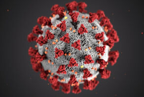 زیرسویه جدید کرونا در چین شناسایی شد