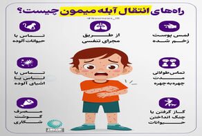 راه‌های انتقال آبله میمون چیست؟