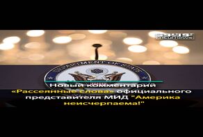 «Рассеянные слова» официального представителя МИД 