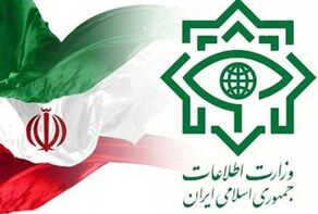 اطلاعیه مهم وزارت اطلاعات درباره تجمعات غیرقانونی