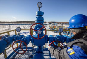 International Energy Agency to European countries: The situation is critical, don't get false confidence!