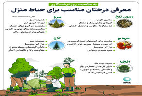 معرفی درختان مناسب برای حیاط منزل