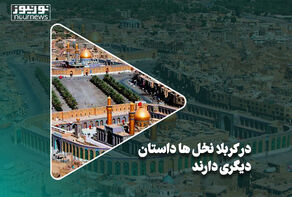 در کربلا نخل‌ها داستان دیگری دارند