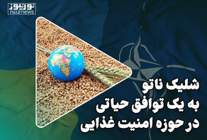 شلیک ناتو به یک توافق حیاتی در حوزه امنیت غذایی