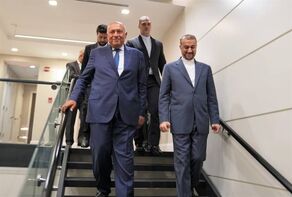 Tehran and Cairo discuss ways to build up ties