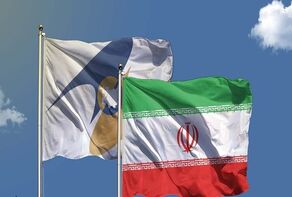 Official: FTA between Iran, EAEU will lead to increase in industries’ profitability