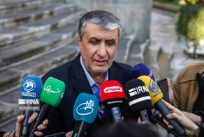 ‘Iran nuclear industry among top 5 in world’