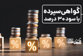 فروش اوراق با نرخ سود 30 درصد تا چه زمانی ادامه دارد؟
