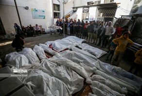 Al-Azhar University slams Israeli aggression in northern Gaza