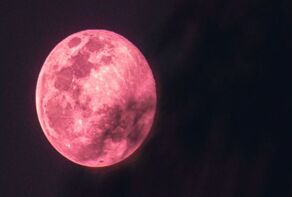 Gorgeous full pink moon