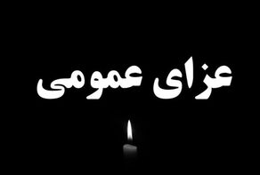 کدام کشورها عزای عمومی اعلام کردند؟