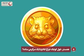 نور ویدئو | همستر، غول کوچک چراغ جادو یا یک سرگرمی ساده؟ +فیلم