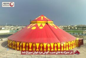 نورنما | در سیرک به جای سیب ، گوش مرد جوان سوراخ شد