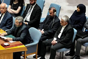 Iran urges UN Security Council action to halt Gaza genocide