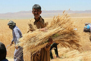 آب‌باریکه سرمایه‌گذاری دربخش کشاورزی