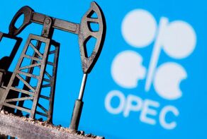 OPEC+ countries extend oil production cuts
