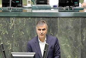 دفاع فرزین از لایحه اجازه افزایش سهمیه دولت در صندوق بین‌المللی