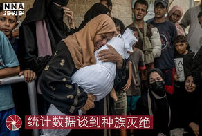 统计数据谈到种族灭绝